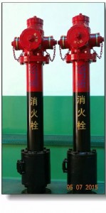 ssft��������˨