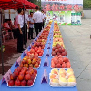 ��������жY�а��b��_����С�ɡ�������ҶY�а��b�ߴ���