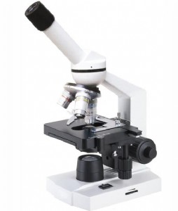 36xc�W���@΢�R���W���@΢�R�S��