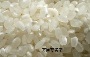 ����B�����ЙC����