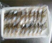 ��˾��~Ƭ���l����