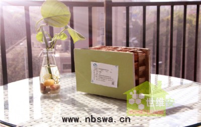 ��C���� ����C�����p�|(zh��)��C����