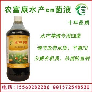 �������r�����õ�em���Ă��S�ҵ��|���ã�