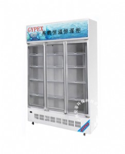 �tˎԇ����غ���