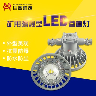 �V�ø�����LED�����