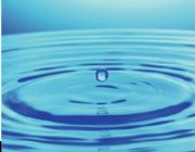 �����V�ݴ���ˮ̎����̿ ��̿��(�D)