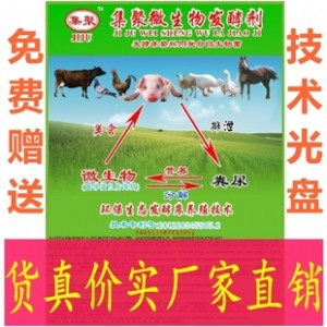 �l�ʹ����N