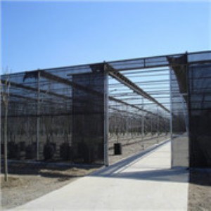 ��ꖾW���� ɽ�|���Ҵ����N�� ���՜��Ҵ����N�� �Ϻ��r��