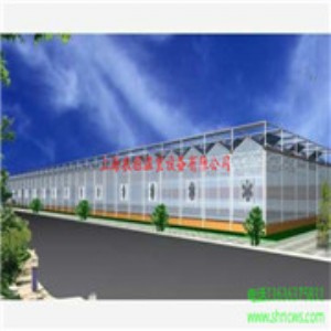 ꖹ����� ���K���Ҵ����N�� ���Ҵ��� �S��ֱ�N