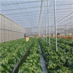 ���x�W�Ҵ��� ���K���Ҵ����N�� �������Ҵ����N�� ��������