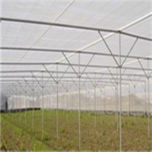 ���x�W�Ҵ��� �ؑc���Ҵ����N�� �������Ҵ����N�� �������a