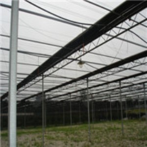 ��ꖾW���� �ӱ����Ҵ����N�� ������Ҵ����N�� �������a�S��