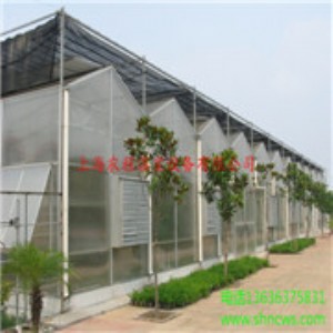 ꖹ����� ���Ϝ��Ҵ����N�� �ӱ����Ҵ����N�� ���ҹ�˾