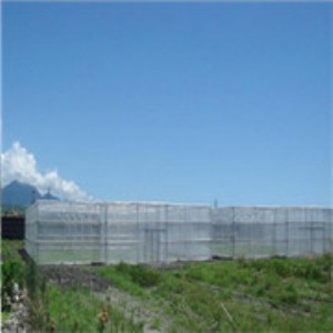 ���x�W(w��ng)�Ҵ��� �Ϻ������O(sh��)Ӌ(j��) �F�ݜ��Ҵ����N�� �r(n��ng)�̜���