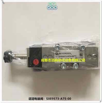 sxe9573-a75-00Ӣ���Z�ڴ�ƿ�C늴��yimi