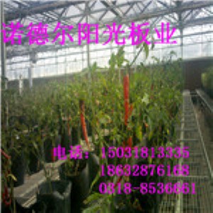 ��ˮ�Z� ��S�Ҍ��I���a ���Ҵ���ꖹ�� �\�ŏS��