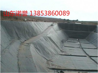 տ�����ϻ����ܶȾ���ϩ����Ĥ