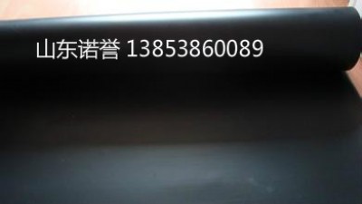 �B(y��ng)ֳ���Ӛ�����ϻ�1.0mm����Ĥ