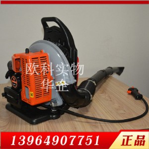 ɭ���������C 650�ͱ�ؓʽ���L�C