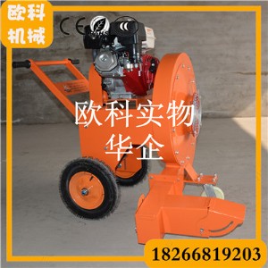 �������L�C ·����p�C