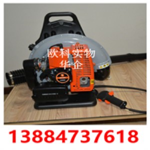 ��ؓʽ���L�ڴ��L�C С��·�汳ؓʽ���L�C