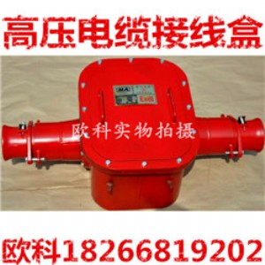 �V�ø����͸߉���|�Ӿ���