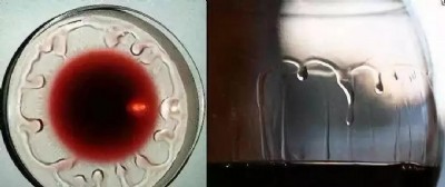 ��Ҋ���Ѿ�֪�R��ä