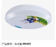 �ǵ���픟�