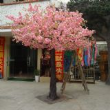 ���Ҙ� ���� �����һ��� �����[���һ������SԸ�� �ѻ�÷���D