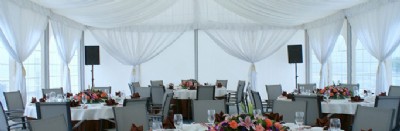 �����a�S�ң�������