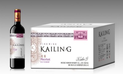 �P�I�����ɼt���Ѿ�