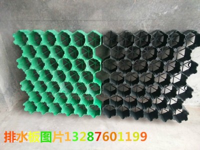 ��̶ֲ�ݸ�-������������