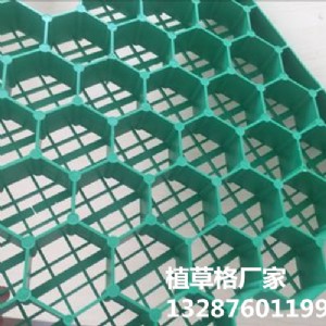 ����ֲ�ݸ�