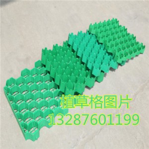 ��������ͨ��ֲ�ݸ�