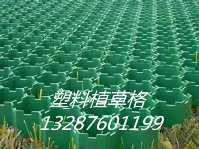 �M��ֲ�ݸ�r(ji��)��-�M��ֲ�ݸ�S��