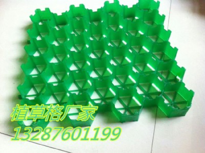 ���f4���֣�5���֣�ֲ�ݸ�r��