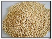 13X���ӺY(�D)