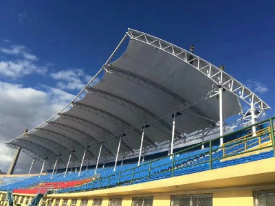 �ӹ����bĤ�Y���w�����_��