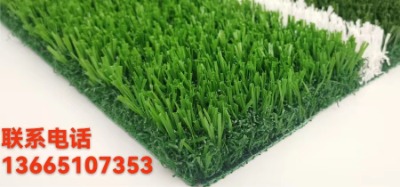 ������˹���ƺ,������������ƺ