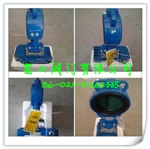 ����˹늄ӵ��yDN100