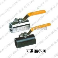 Q11F-16C�Vʽ���ݼy���y