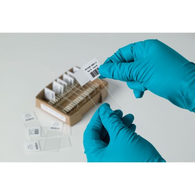 b-481 �͵͜ؾ����˺�