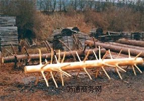 ���������Ƥ�߉�ˮ��