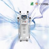 �S��ֱ�N(xi��o)�����֬�ί��x