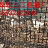 ��ˮ����������ŏS�҃r��