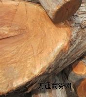 ����ľ������ľ������ľ