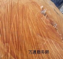 ��ľ��ľ��ľ