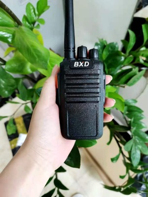 �����ڿh�Ƶ����v�C�����_316���v�C��ʳ��