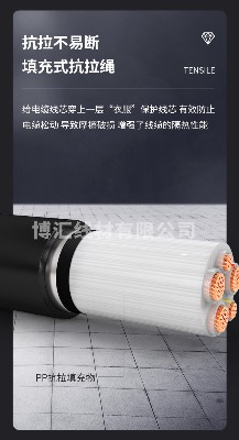 �X�Ͻ������| ���R����