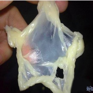 �����Sԭ�z ʳƷ�����턩